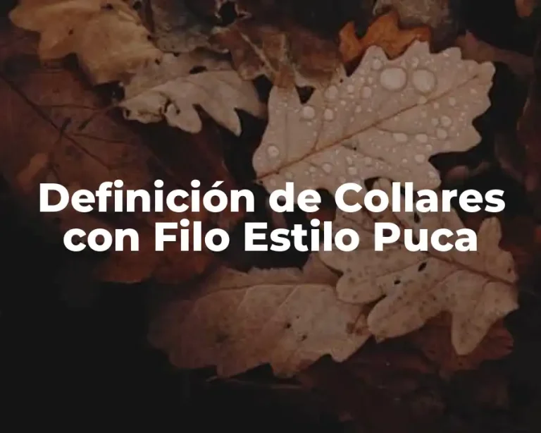 Definición de Collares con Filo Estilo Puca