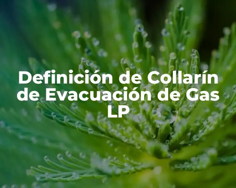 Definición de Collarín de Evacuación de Gas LP