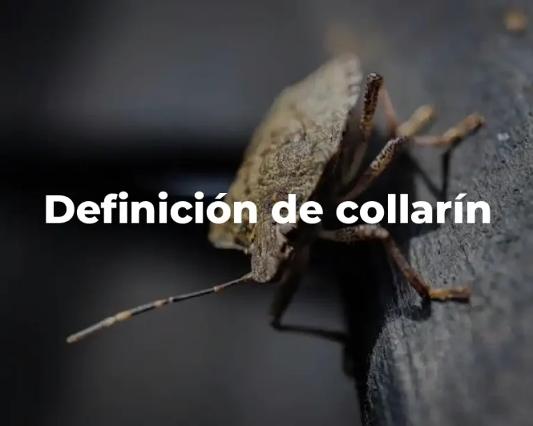 Definición de collarín