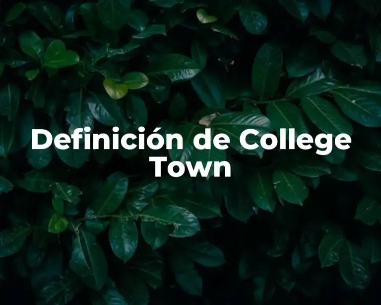 Definición de College Town