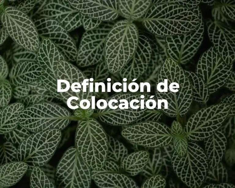 Definición de Colocación