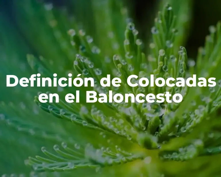 Definición de Colocadas en el Baloncesto