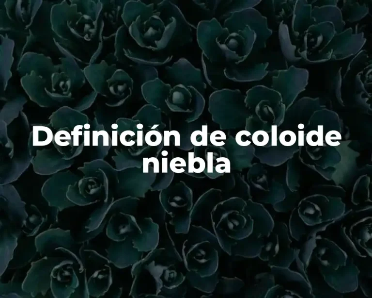Definición de coloide niebla