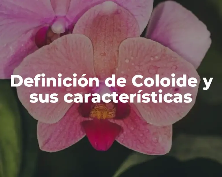Definición de Coloide y sus características