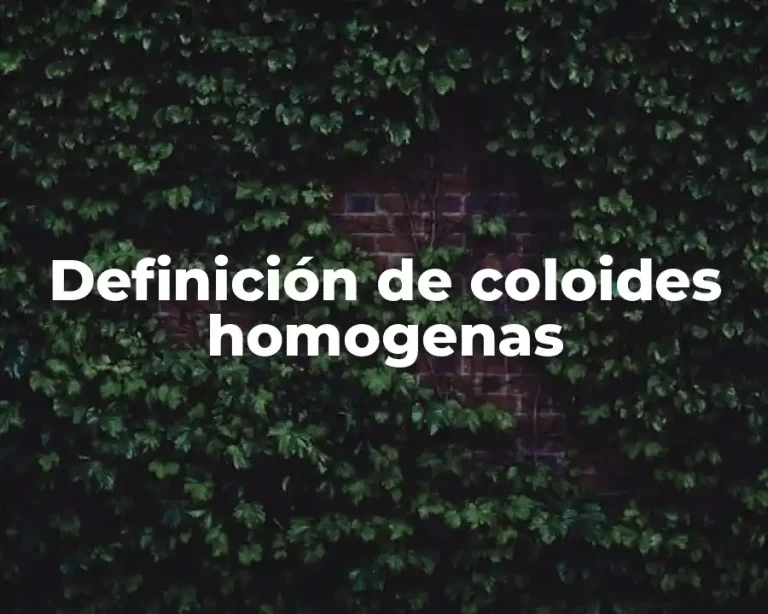 Definición de coloides homogenas