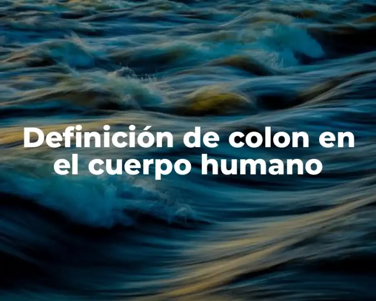 Definición de colon en el cuerpo humano