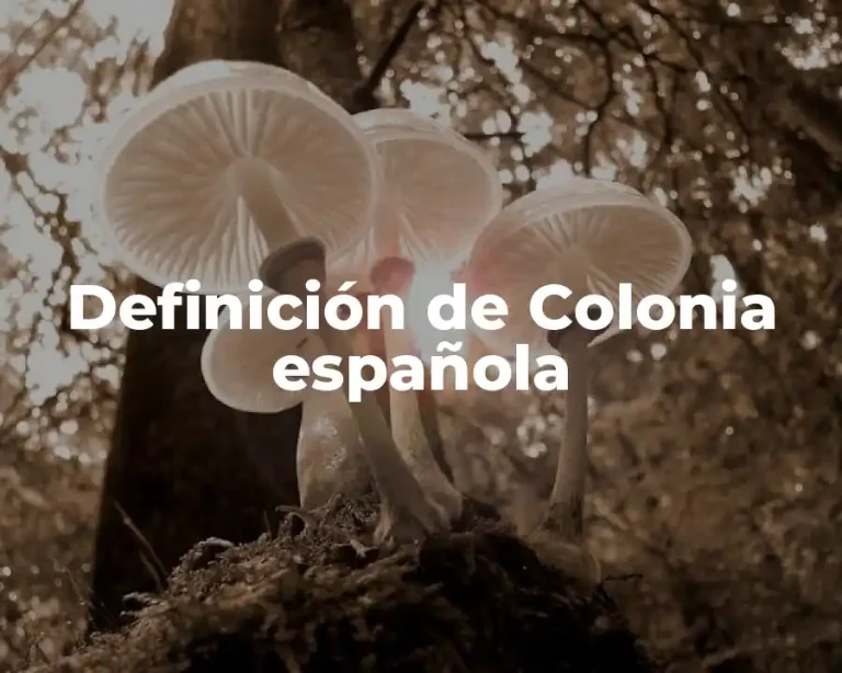 Definición de Colonia española
