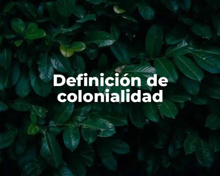 Definición de colonialidad