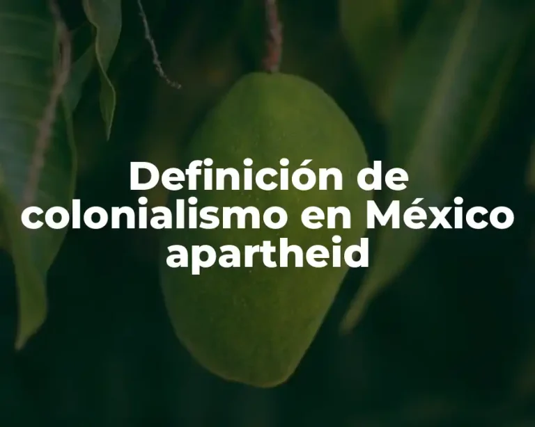 Definición de colonialismo en México apartheid