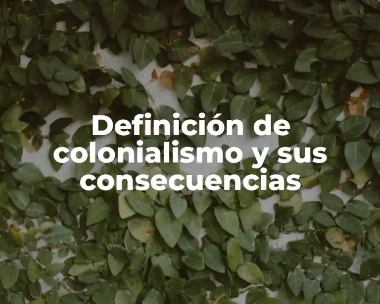 Definición de colonialismo y sus consecuencias