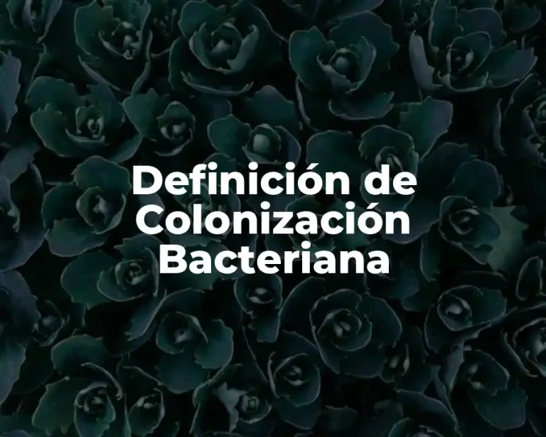 Definición de Colonización Bacteriana