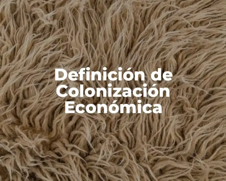 Definición de Colonización Económica