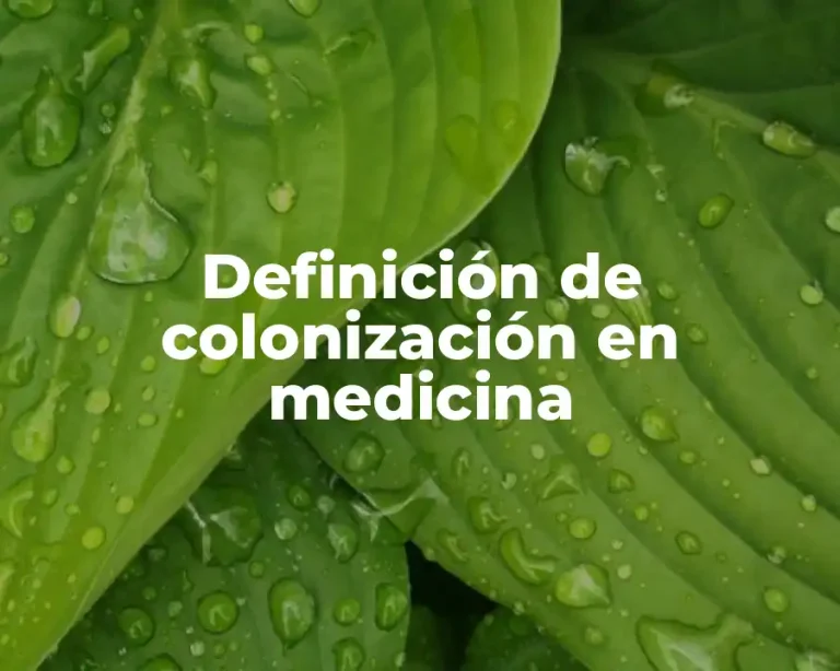 Definición de colonización en medicina