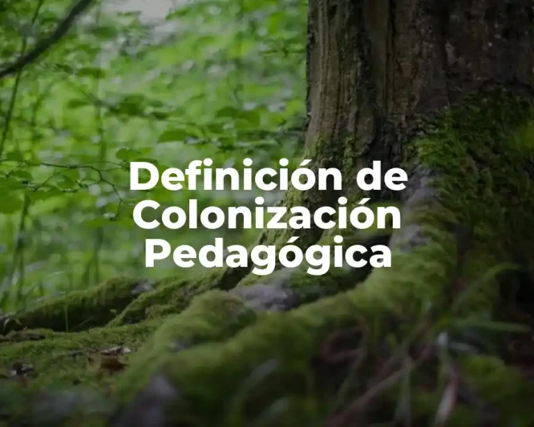 Definición de Colonización Pedagógica