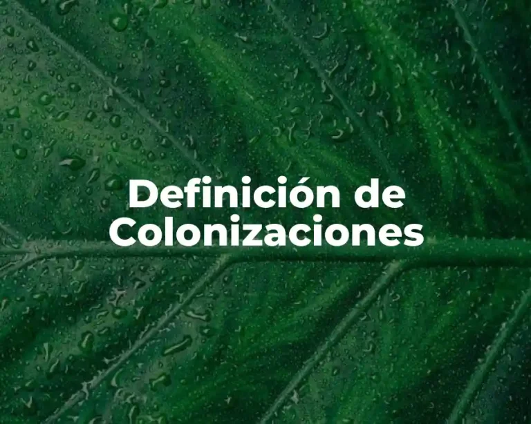 Definición de Colonizaciones
