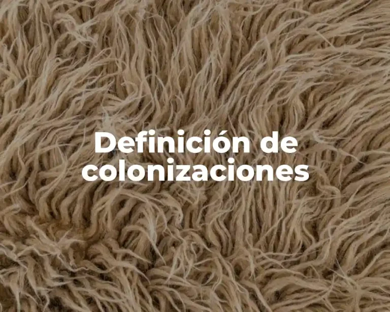 Definición de colonizaciones