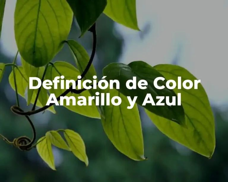 Definición de Color Amarillo y Azul