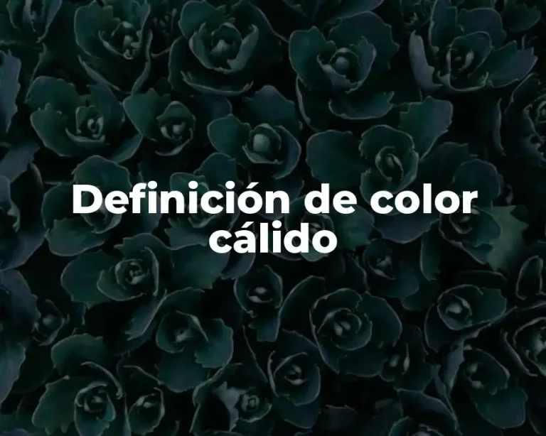 Definición de color cálido
