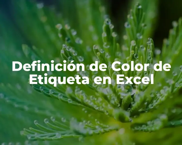 Definición de Color de Etiqueta en Excel