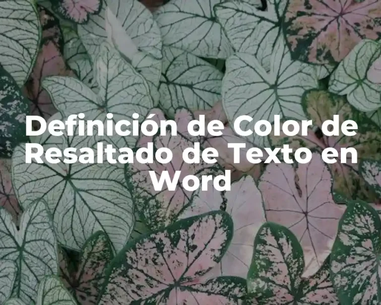 Definición de Color de Resaltado de Texto en Word