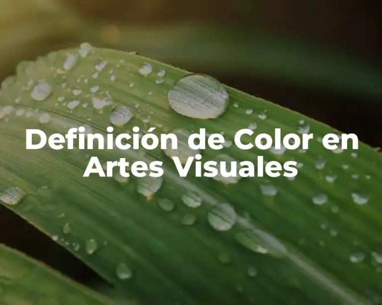 Definición de Color en Artes Visuales