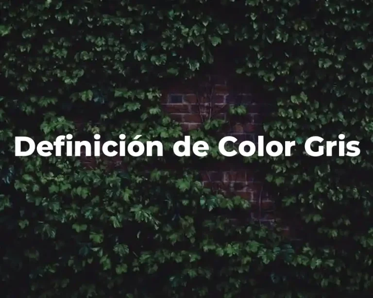 Definición de Color Gris