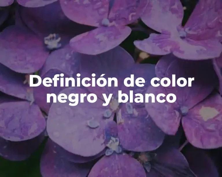 Definición de color negro y blanco