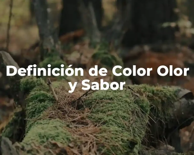 Definición de Color Olor y Sabor