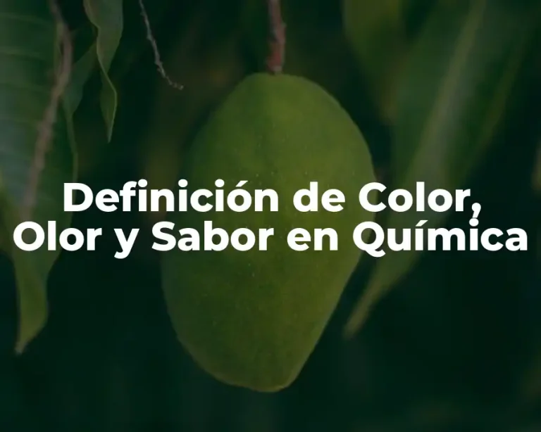 Definición de Color, Olor y Sabor en Química