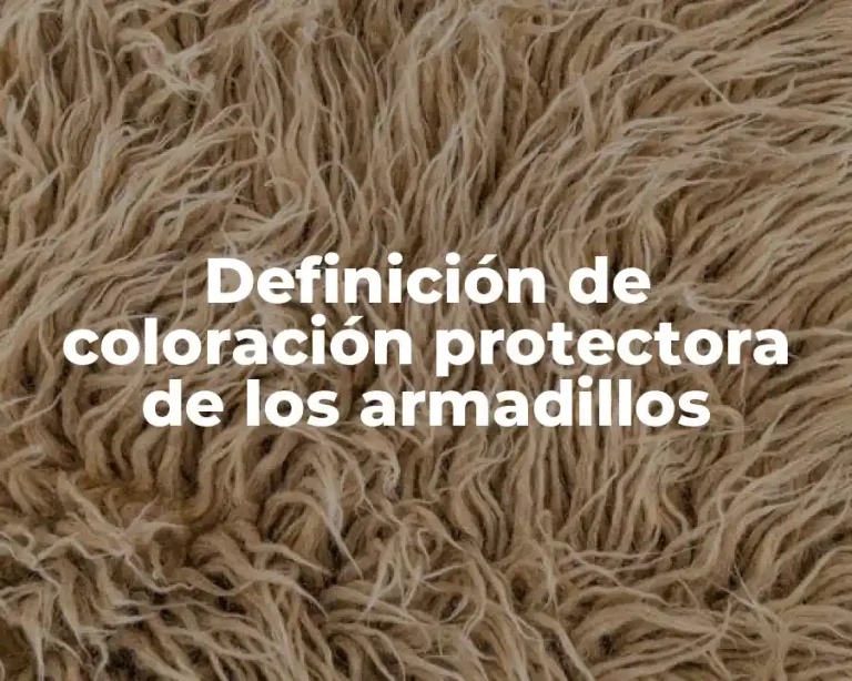 Definición de coloración protectora de los armadillos