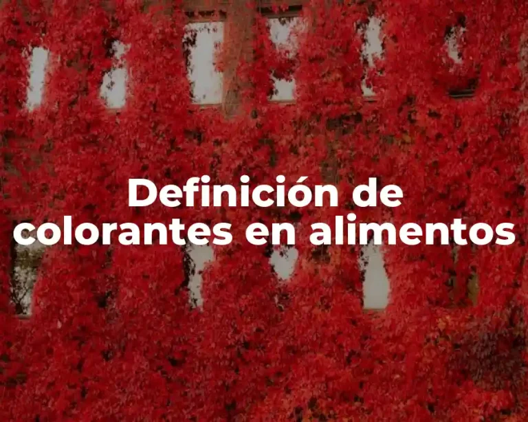 Definición de colorantes en alimentos