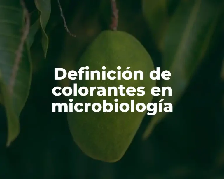 Definición de colorantes en microbiología