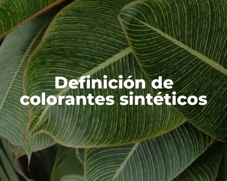 Definición de colorantes sintéticos