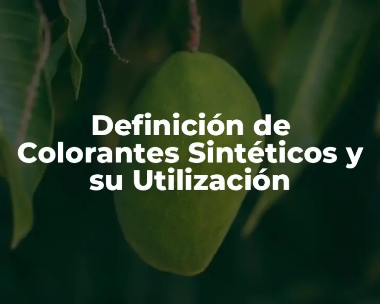 Definición de Colorantes Sintéticos y su Utilización