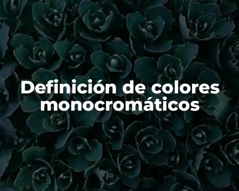 Definición de colores monocromáticos