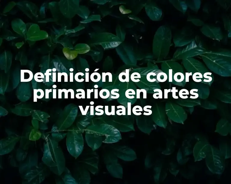 Definición de colores primarios en artes visuales