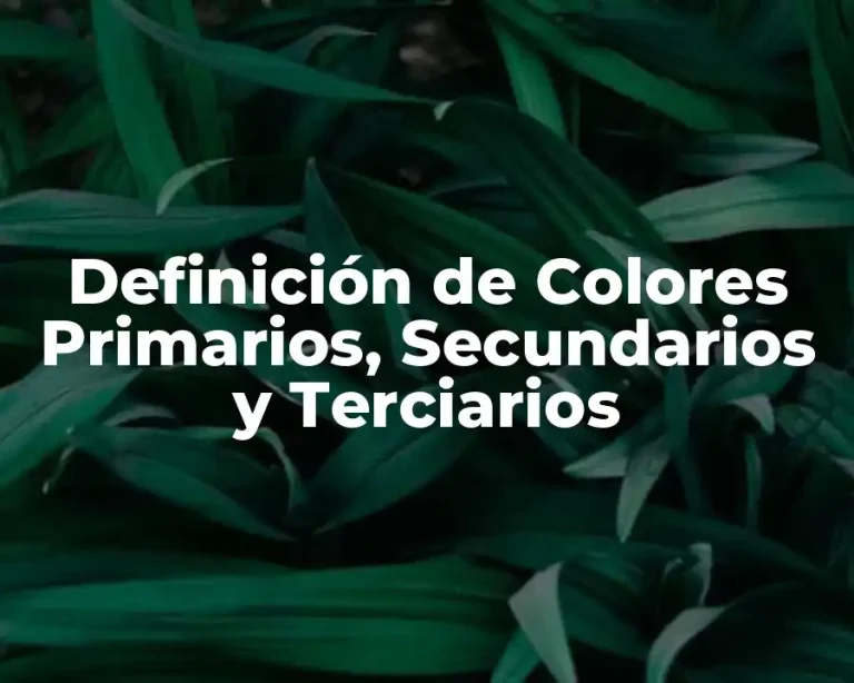 Definición de Colores Primarios, Secundarios y Terciarios