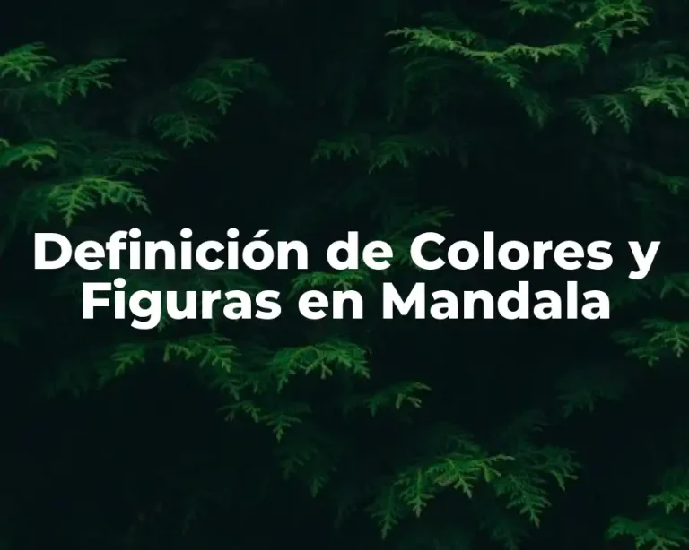 Definición de Colores y Figuras en Mandala