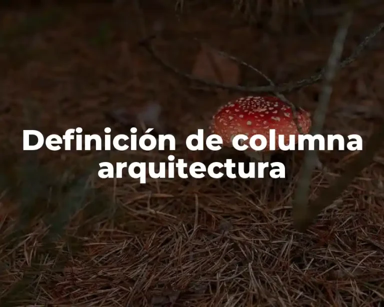 Definición de columna arquitectura