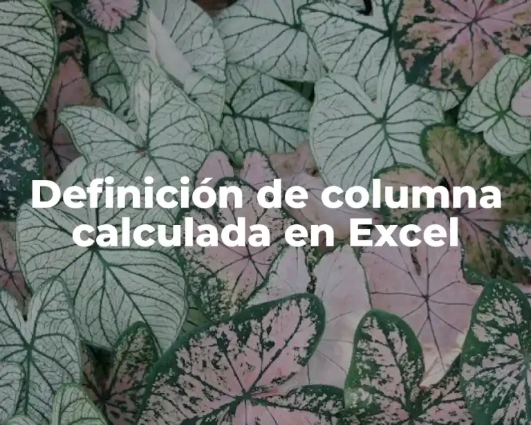 Definición de columna calculada en Excel