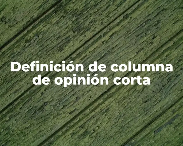 Definición de columna de opinión corta