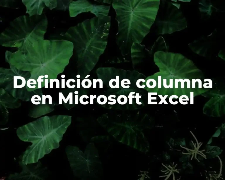 Definición de columna en Microsoft Excel