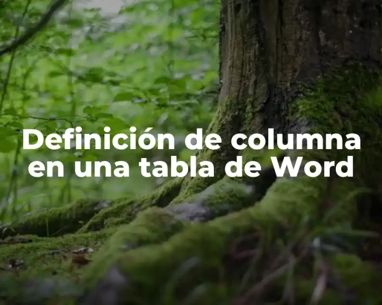 Definición de columna en una tabla de Word