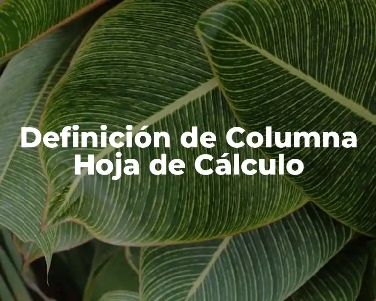 Definición de Columna Hoja de Cálculo