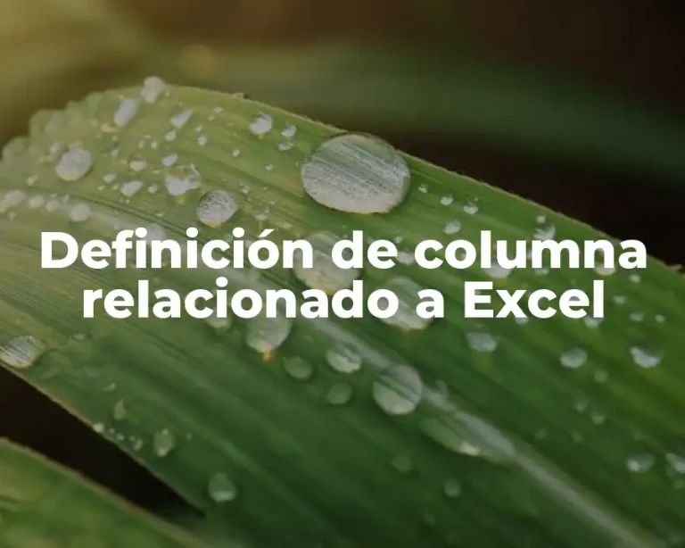 Definición de columna relacionado a Excel