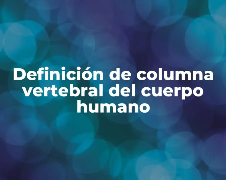 Definición de columna vertebral del cuerpo humano