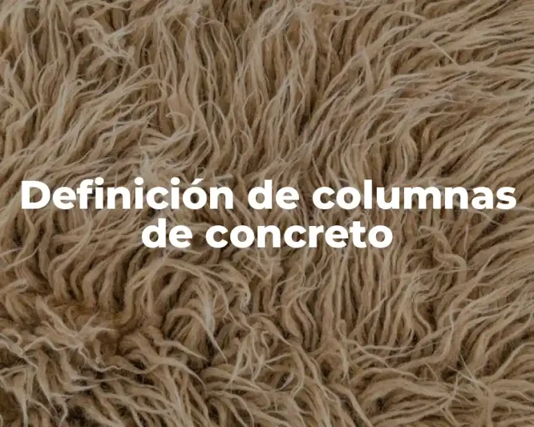 Definición de columnas de concreto