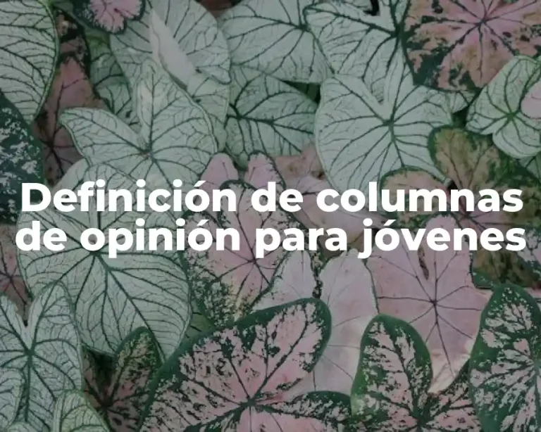 Definición de columnas de opinión para jóvenes