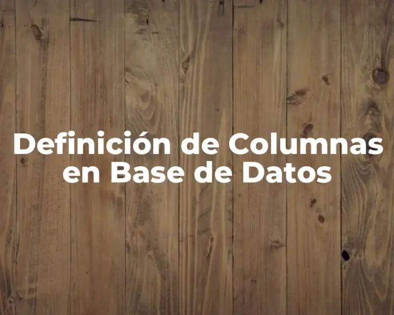 Definición de Columnas en Base de Datos