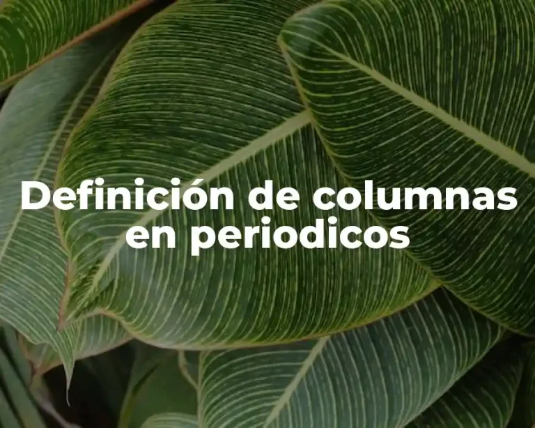 Definición de columnas en periodicos